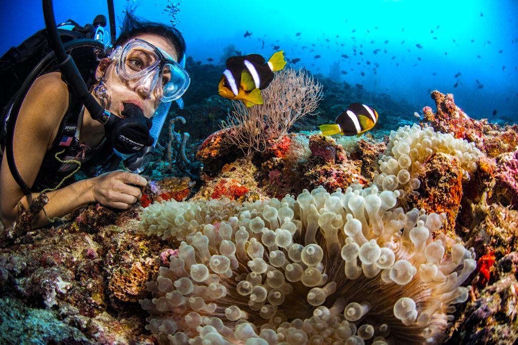 Chica buceando en el coral de Maldivas
