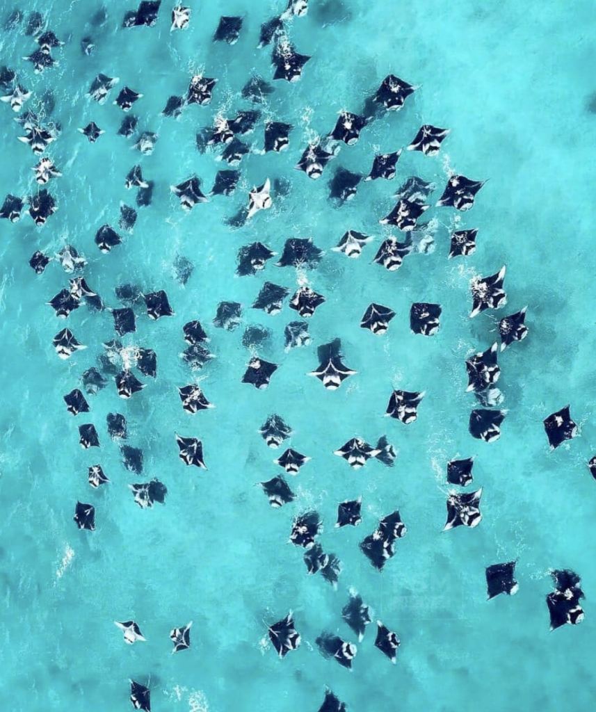 mejores puntos de buceo en Maldivas