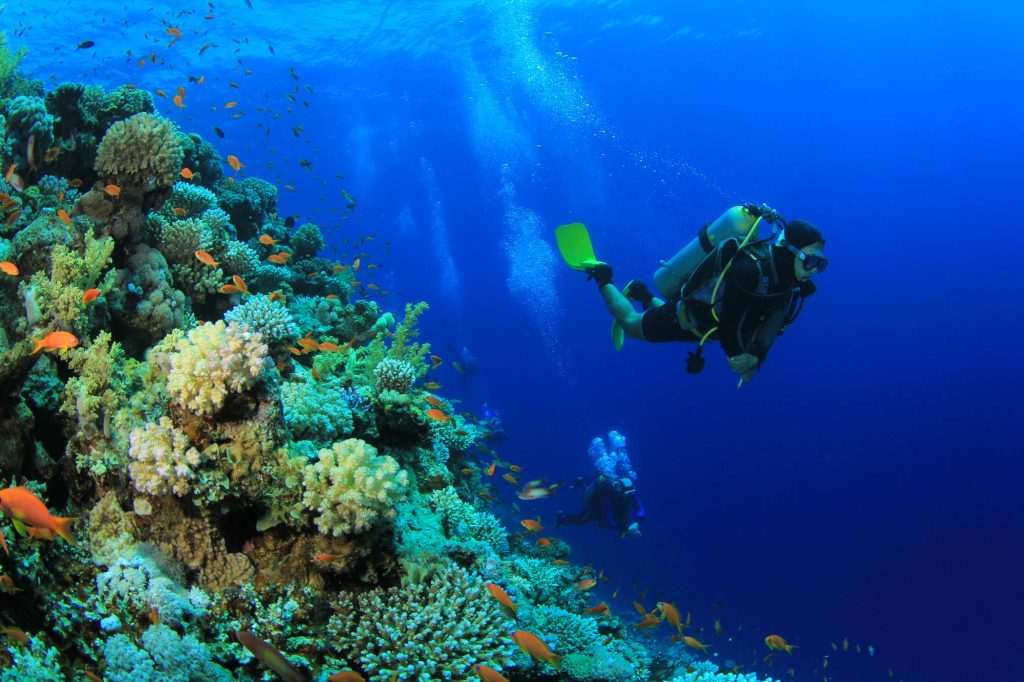 señor buceando en Maldivas en el arrecife de coral