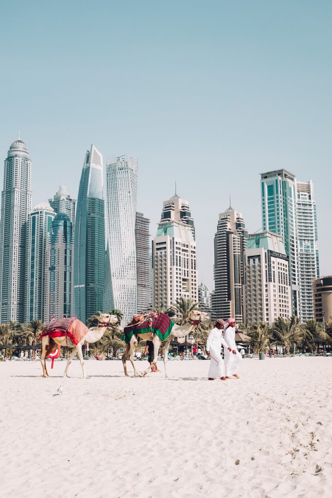 personas paseando camellos por la playa de Dubai