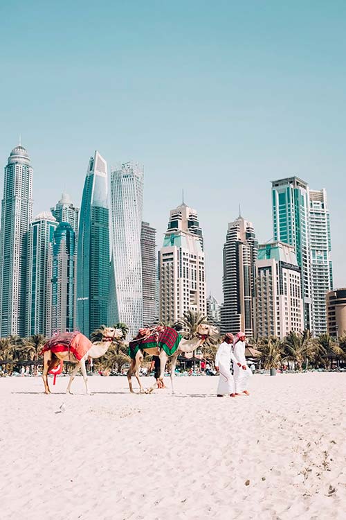personas-paseando-camellos-por-la-playa-de-Dubai
