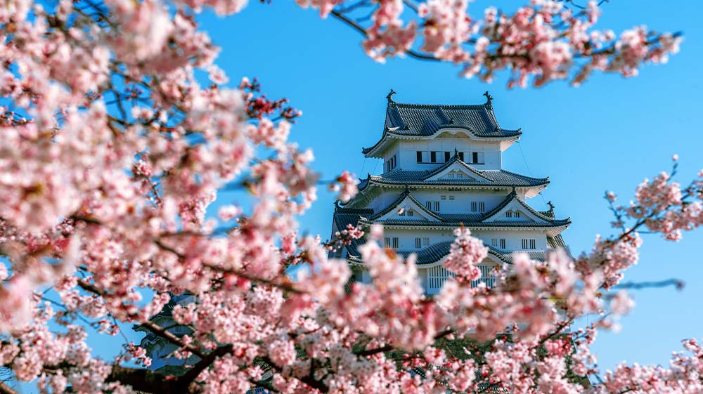 japon-en-abril