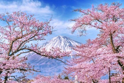 japon-en-primavera