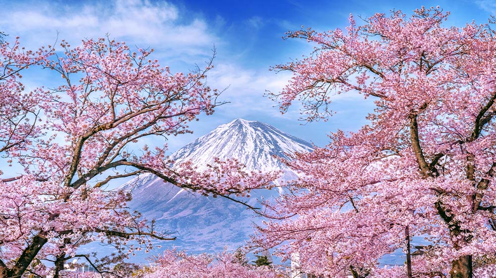 japon-en-primavera