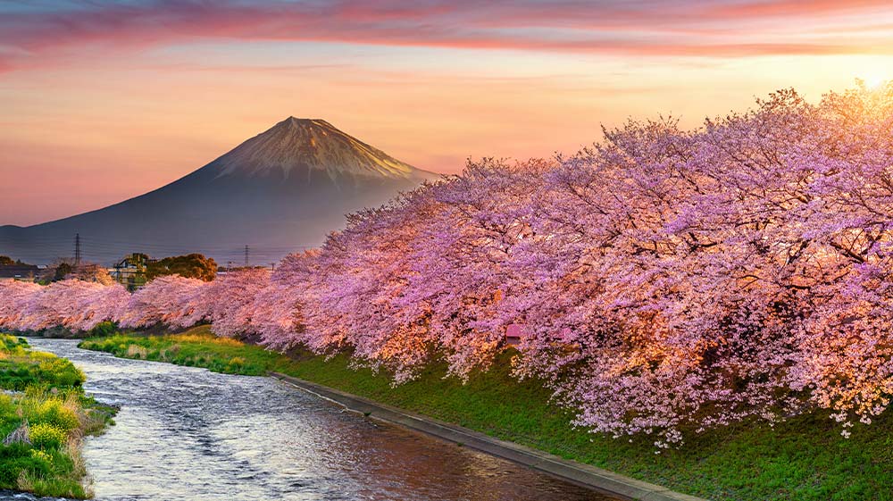 paisajes-de-japon-en-primavera