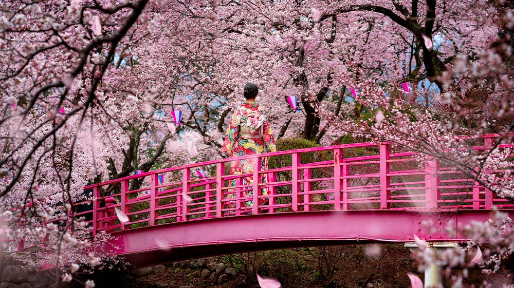 paisajes-de-japon-primavera
