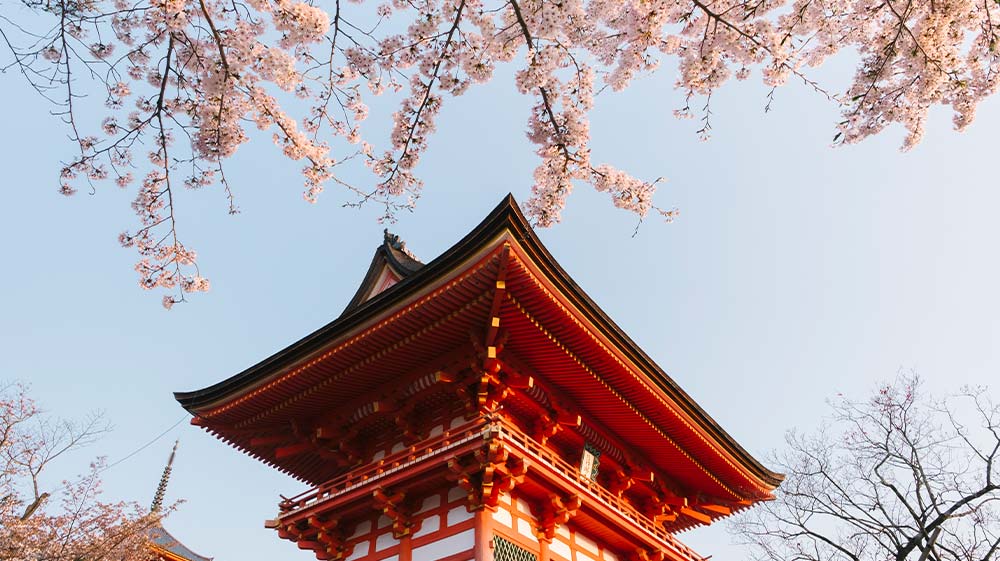 primavera-en-japon