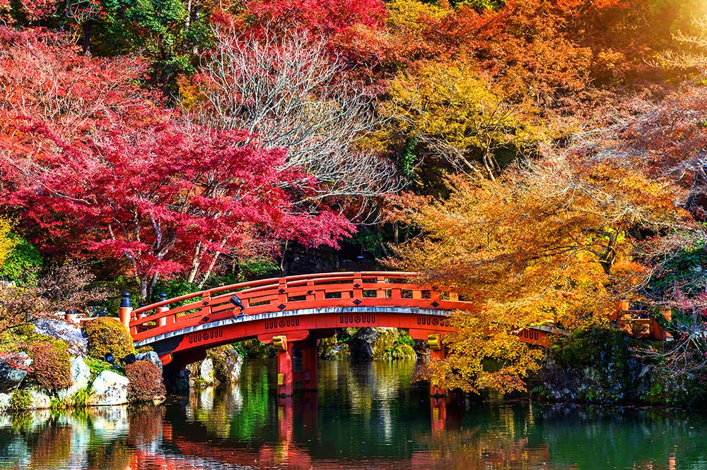 japon-en-otoño