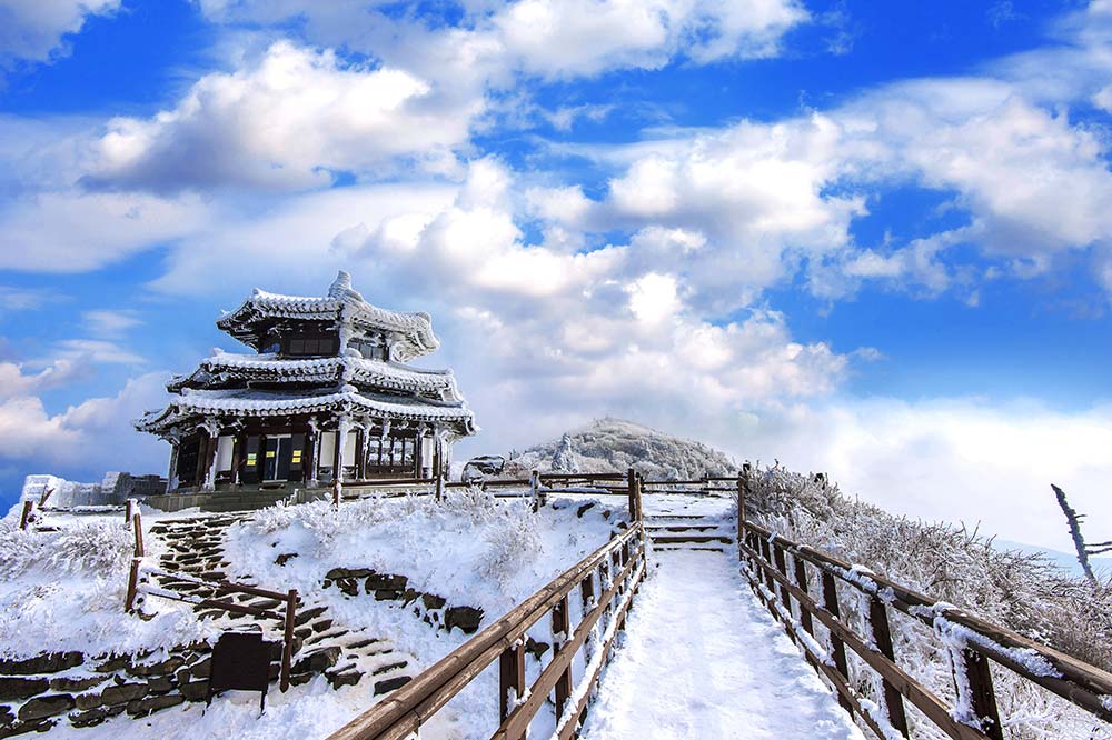 japon-en´-invierno