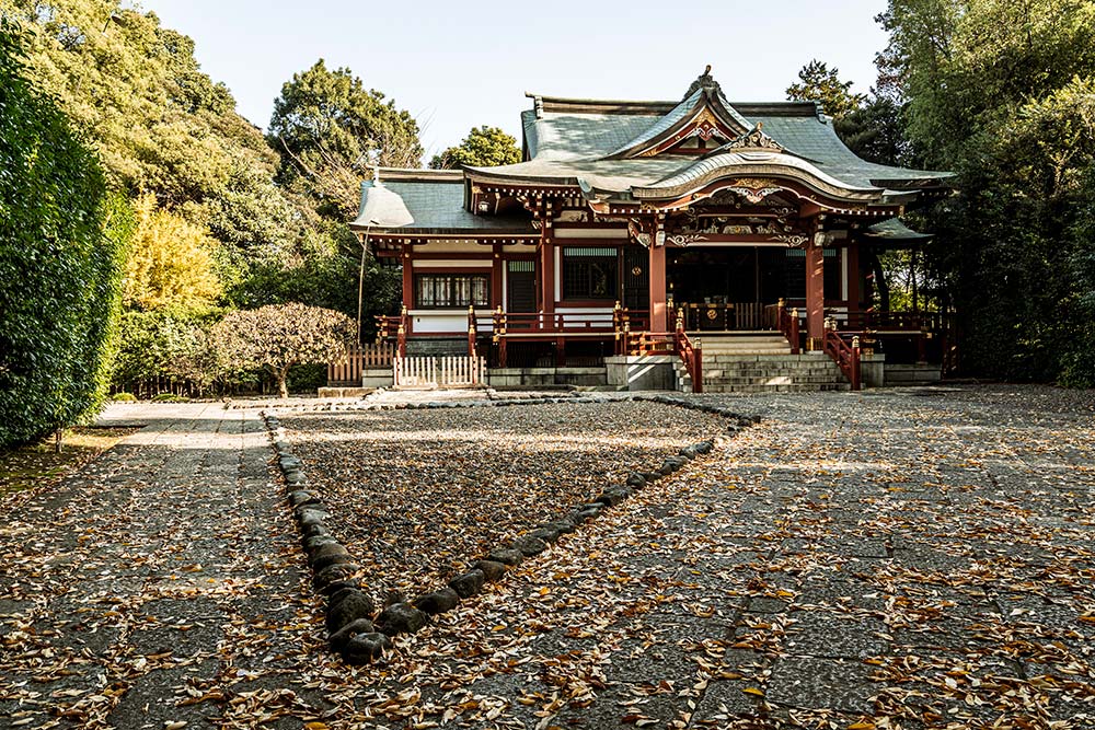 meiji-jingu