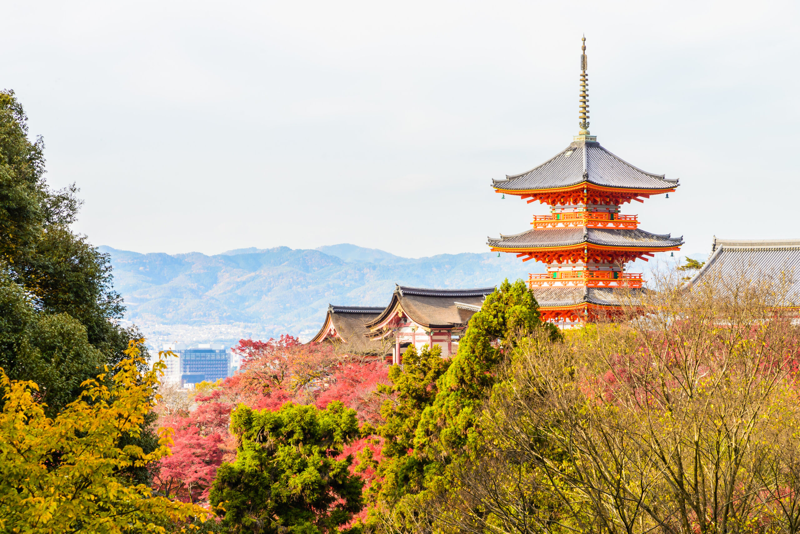 festivales-japoneses-verano