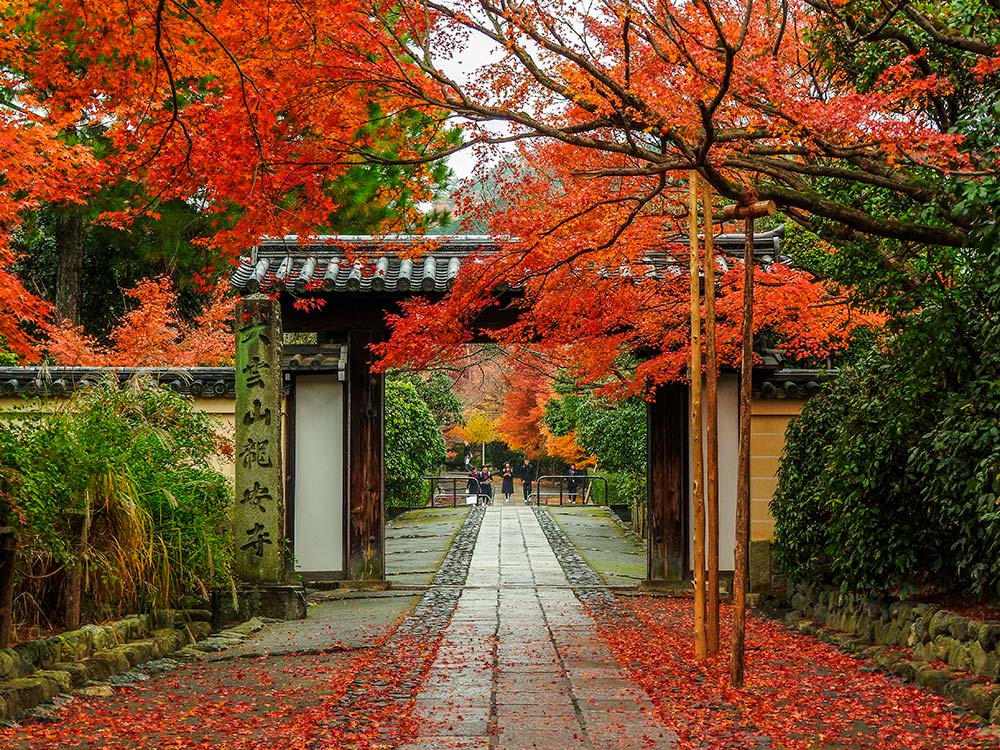 mejores-lugares-de-japon-en-otoño