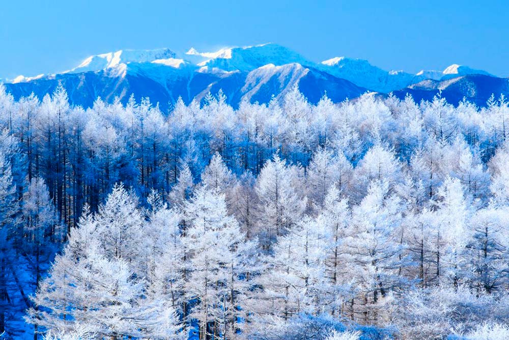 que-hacer-en-japon-en-enero