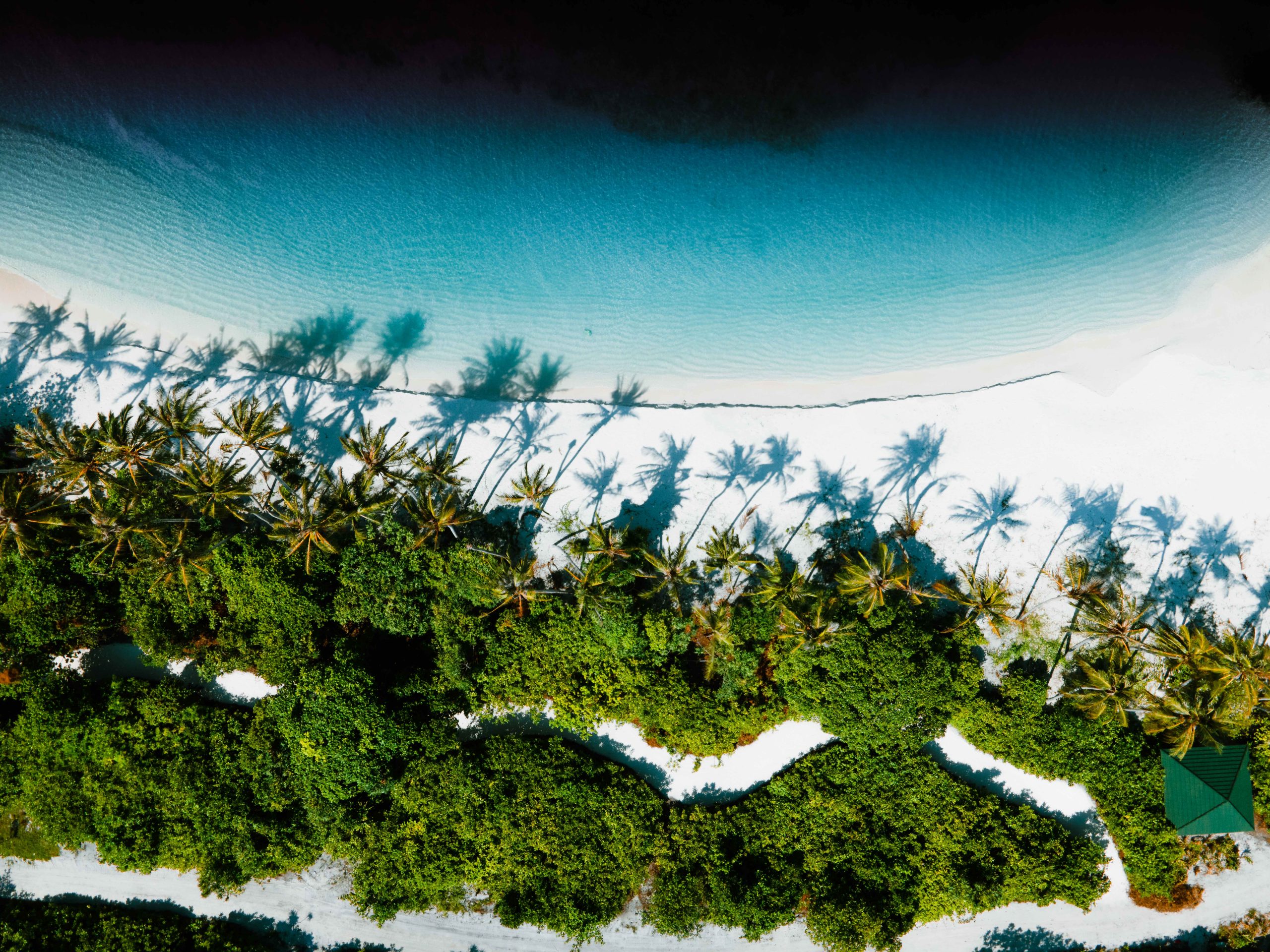 Beach-Aerial