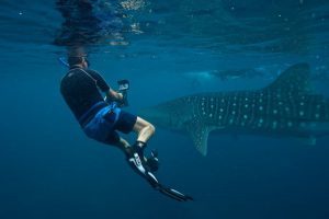 OZN-HRES-ozen_dive_11