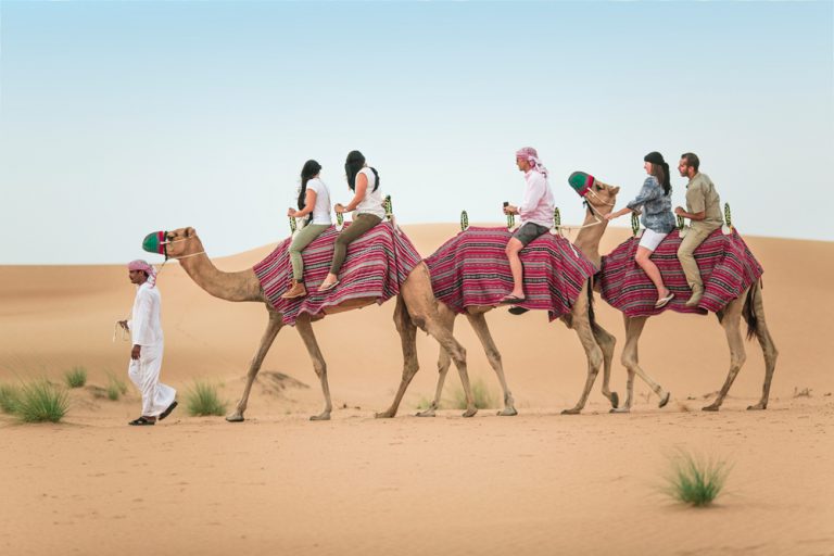 Camel-Safari450