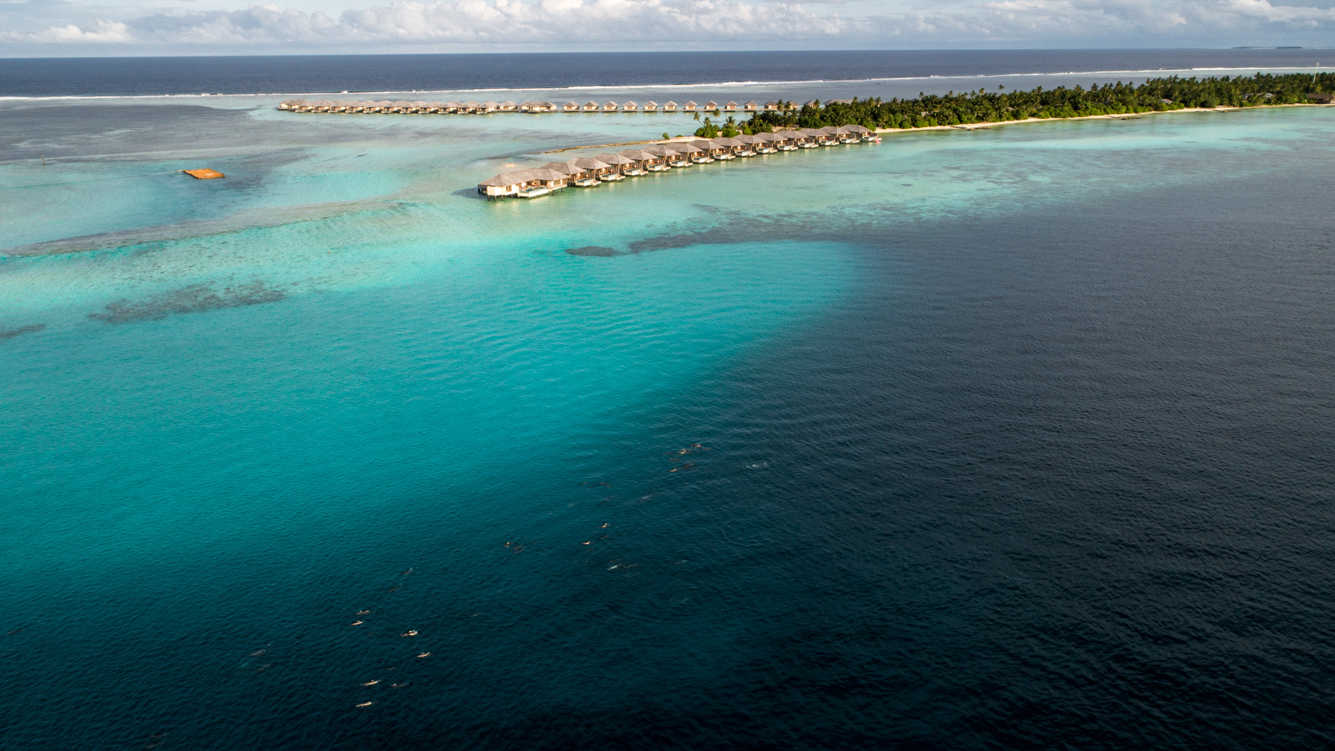 Dhigurah 49