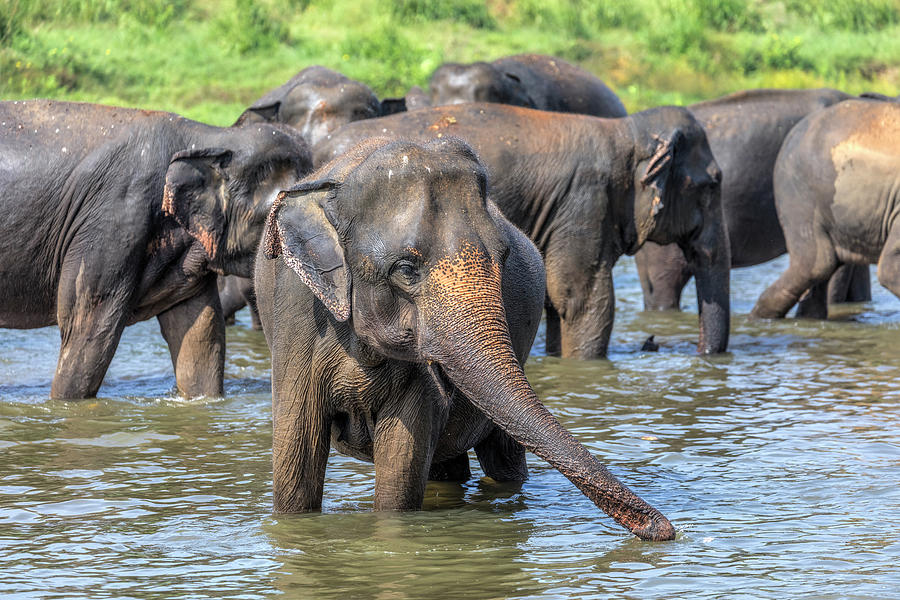 Sri Lanka