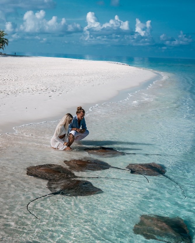 bt-vabbinfaru-stingray-feeding