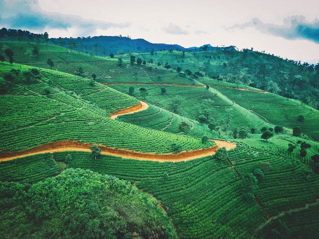 DAMBULLA – MATALE – KANDY