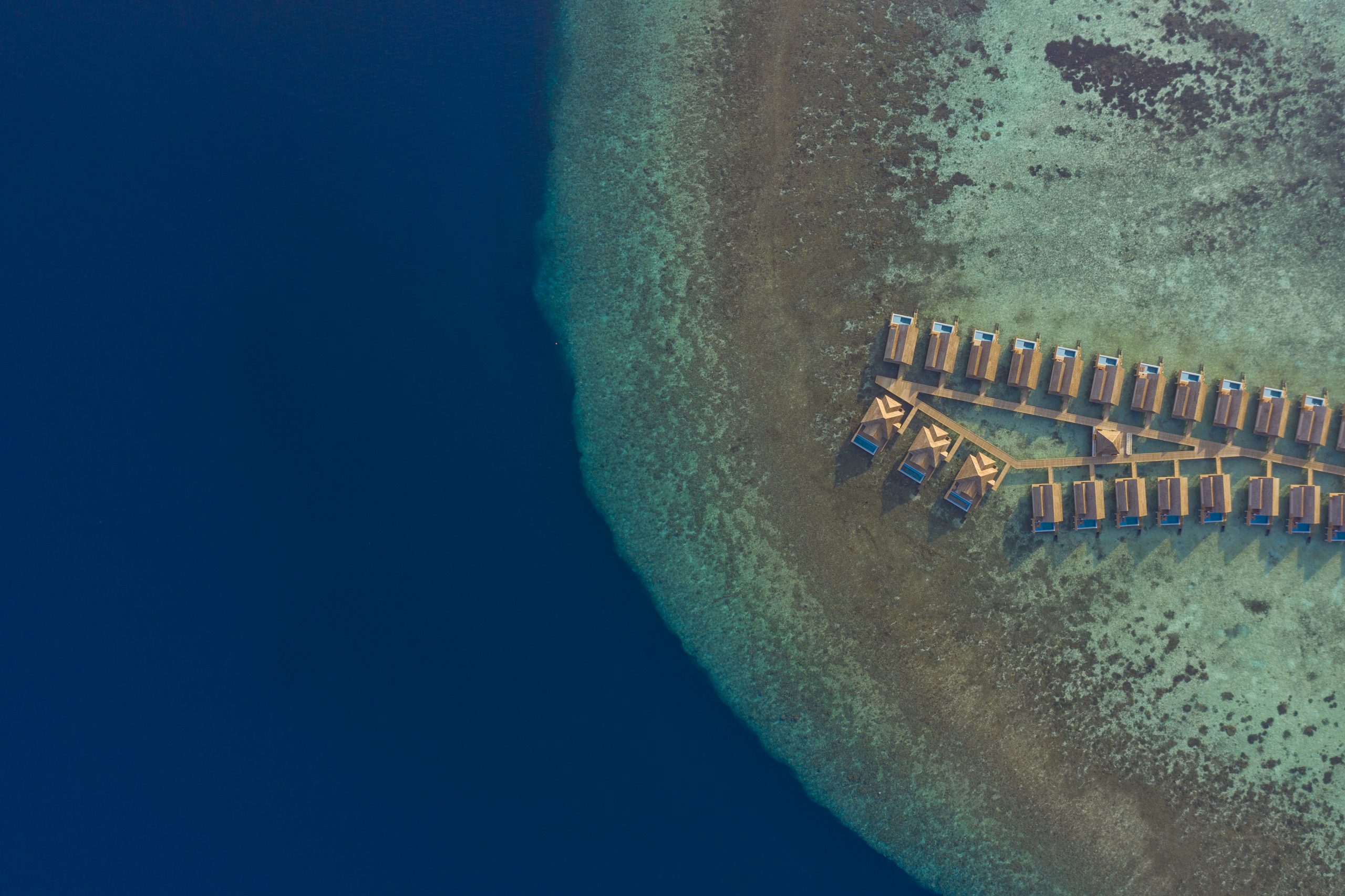 Faarufushi-0840