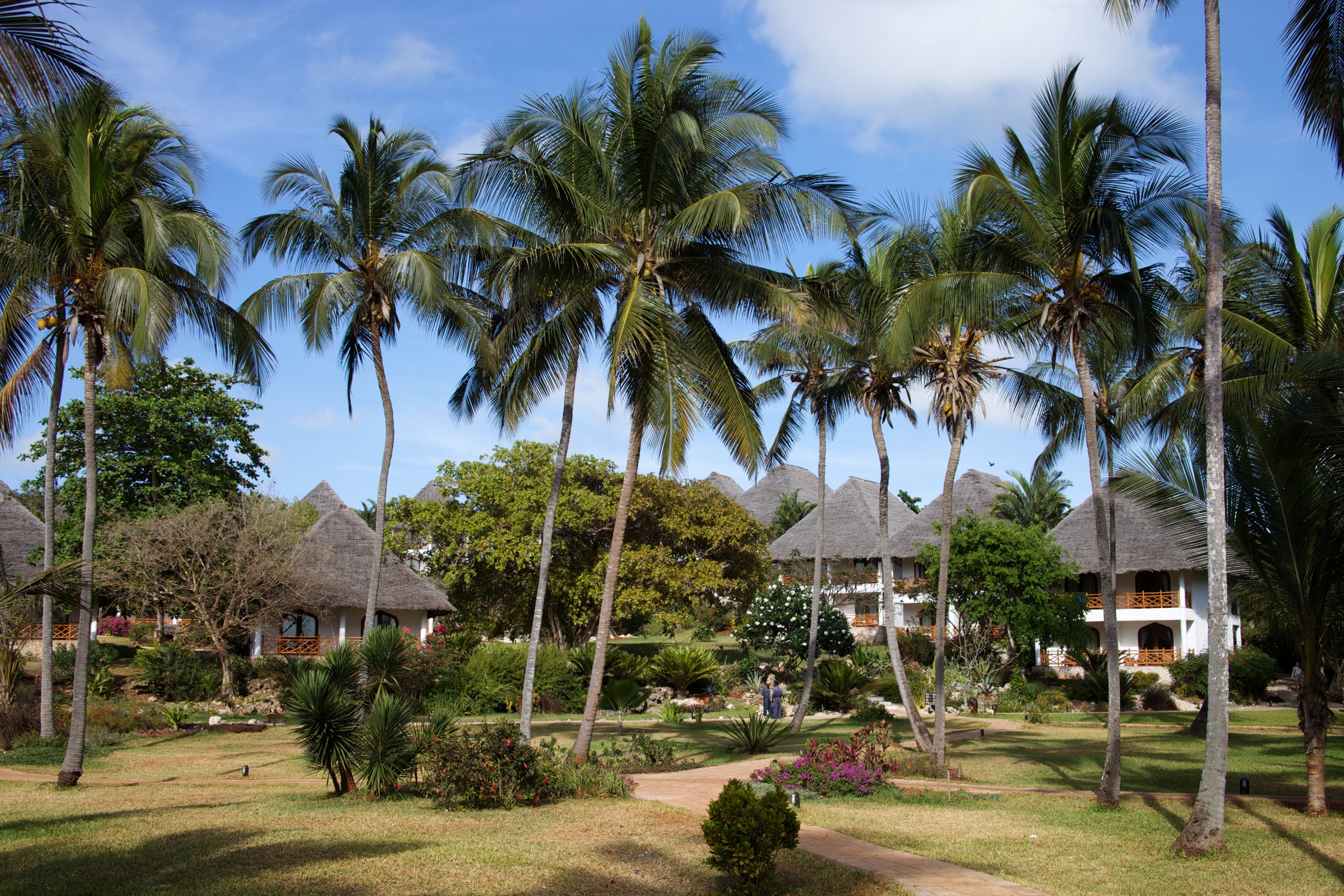 Garden view