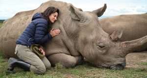 Ol-Pejeta-Conservancy