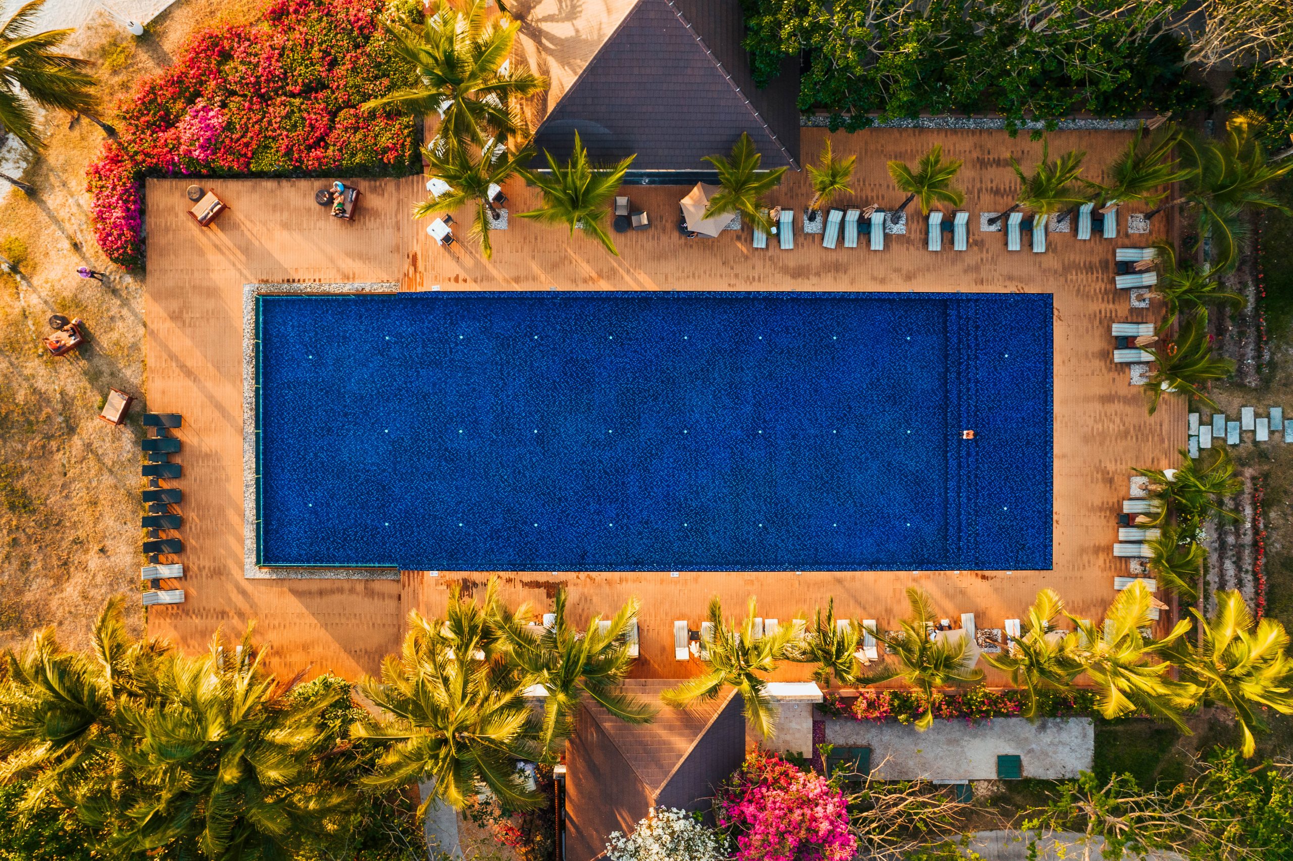 TRZ Main Swimming Pool Bird View