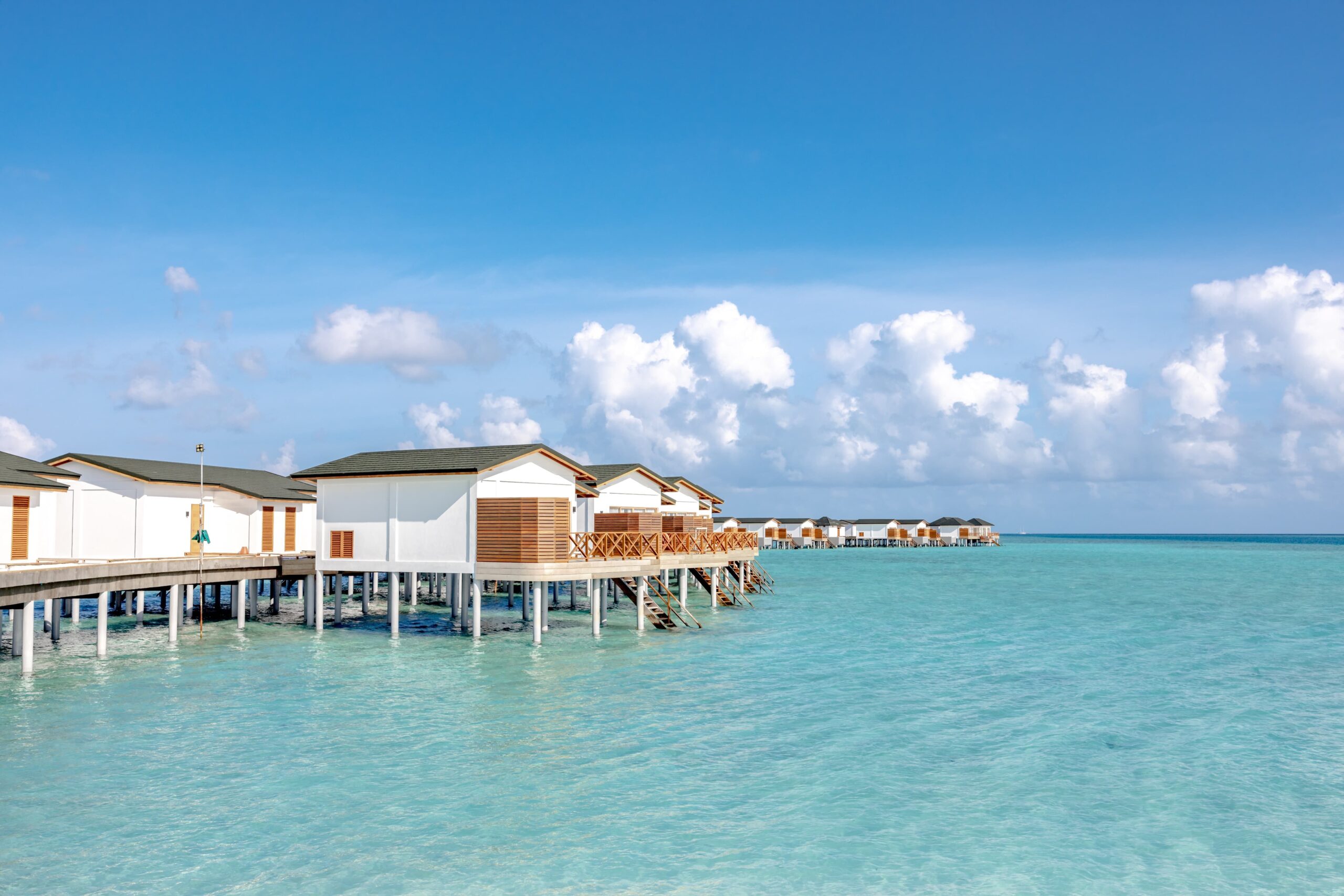 lagoon suite(1)