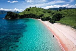 Komodo Pink beach
