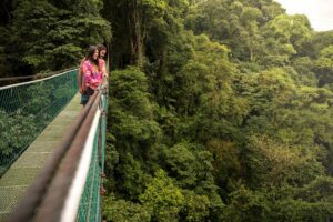 hanging-bridges_52030538769_o