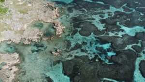 DCIM100MEDIADJI_0166