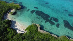 DCIM100MEDIADJI_0204