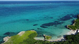 DCIM100MEDIADJI_0206