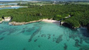 DCIM100MEDIADJI_0217