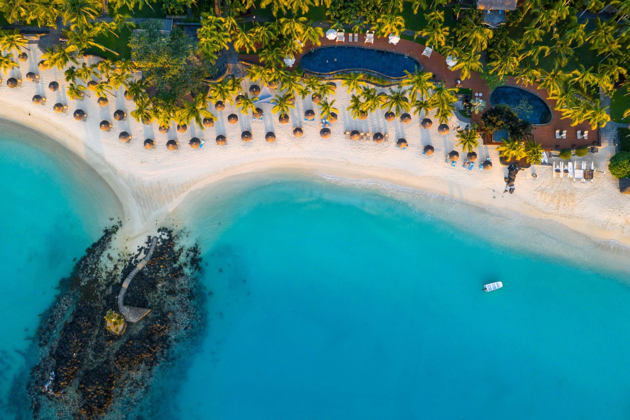 HerveFabrePhotos@RoyalPalm072025HD-002-medium