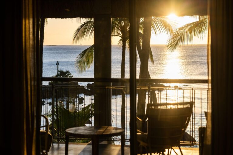 HerveFabrePhotos@RoyalPalm072025HD-056-medium