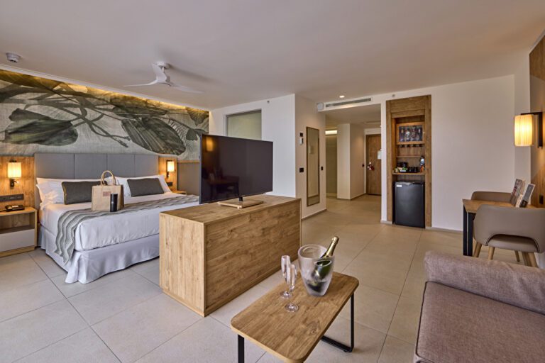 Swim-up suite Elite Club_King