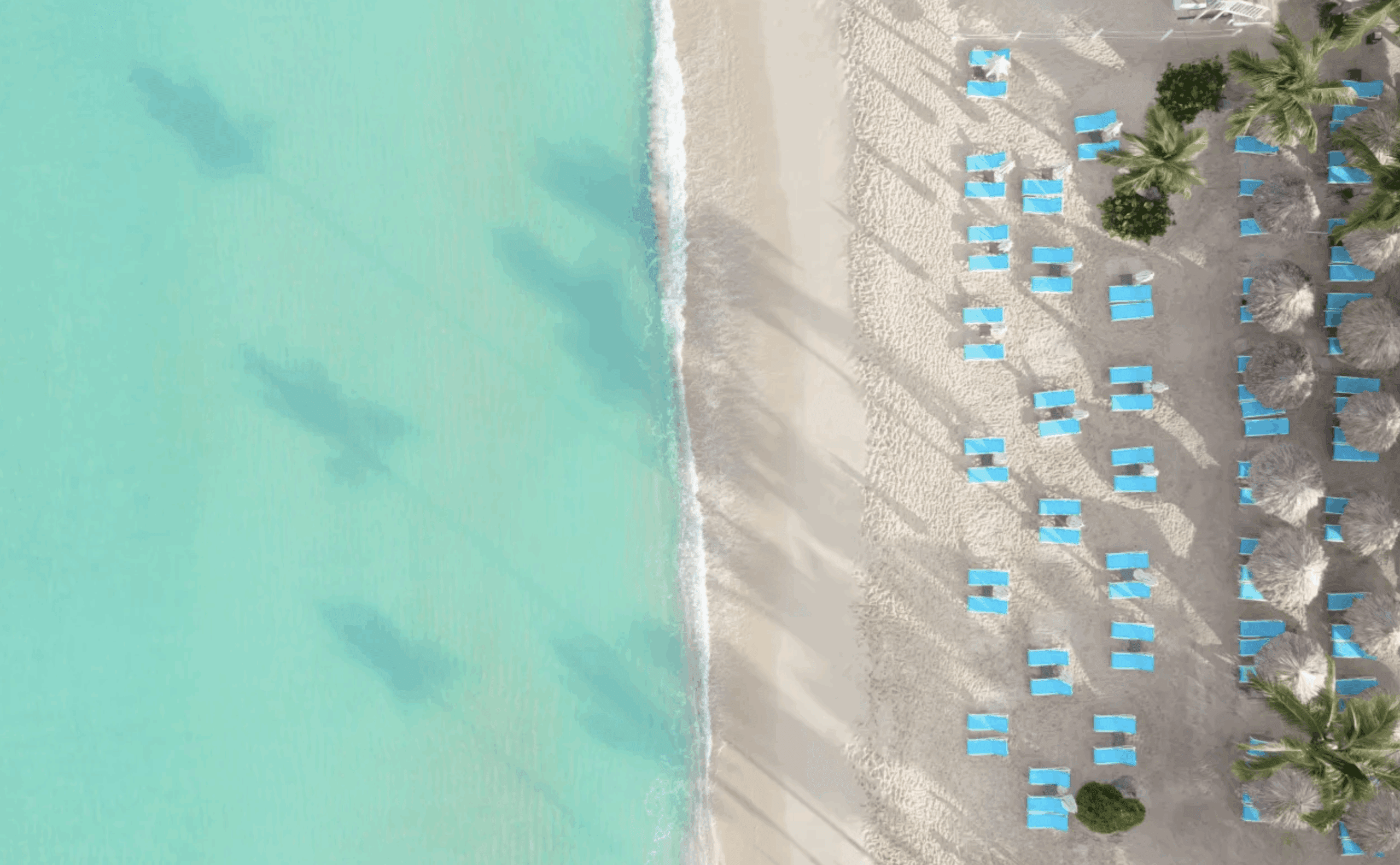 Catalonia Bayahibe11