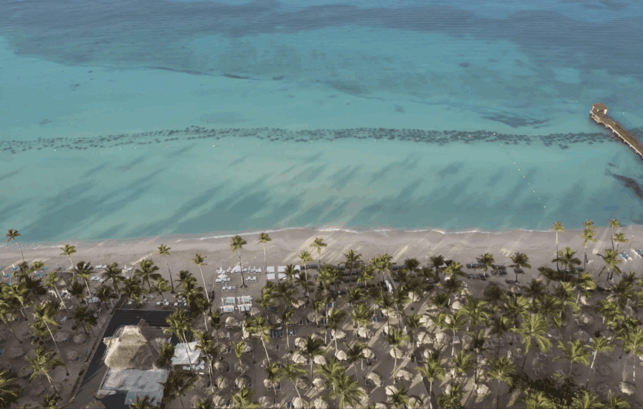 Catalonia Royal La Romana9