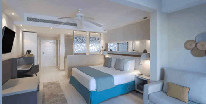 Superior Junior Suite Swim Up Room